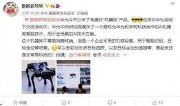 小狗技能爆料怎么做的视频,轻松制作视频教程攻略